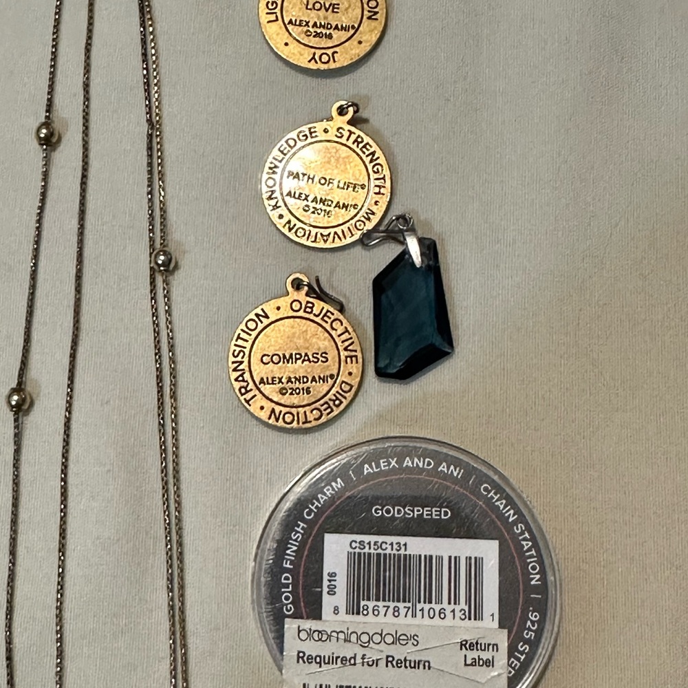 Alex and Ani Necklace and Charm Set - Picture 4 of 4